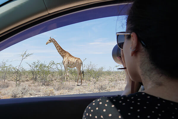 You’re not allowed to leave the car