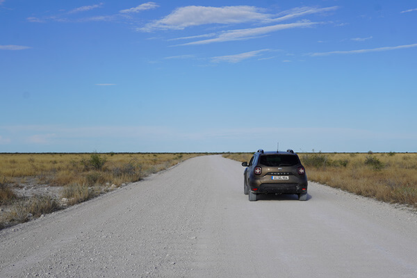 4x4 is optional in Etosha