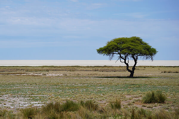Fisher’s salt pan