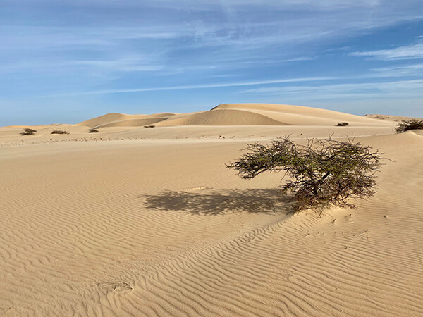 The Sahara Desert, Mauritania