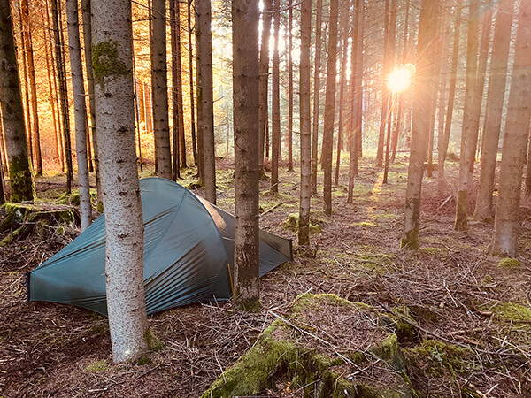 Wild forest camping in Germany